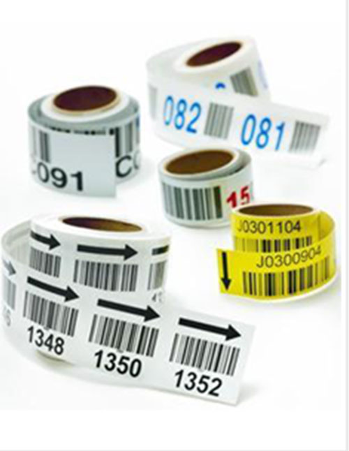 Rolls of labels with barcodes and numbers printed on them